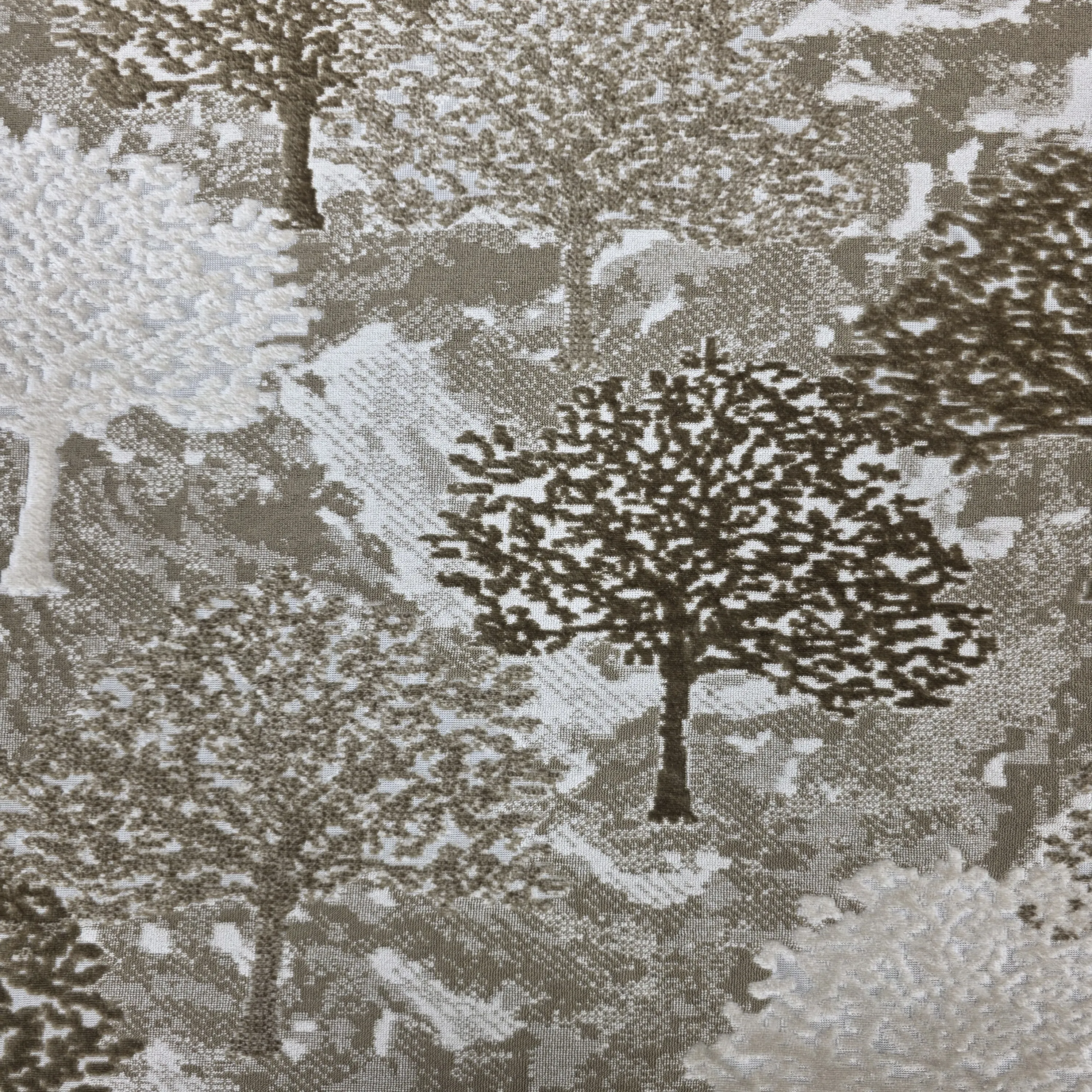 ٢٠٢٥١١٢٧_١٧٢٣٢٢_1