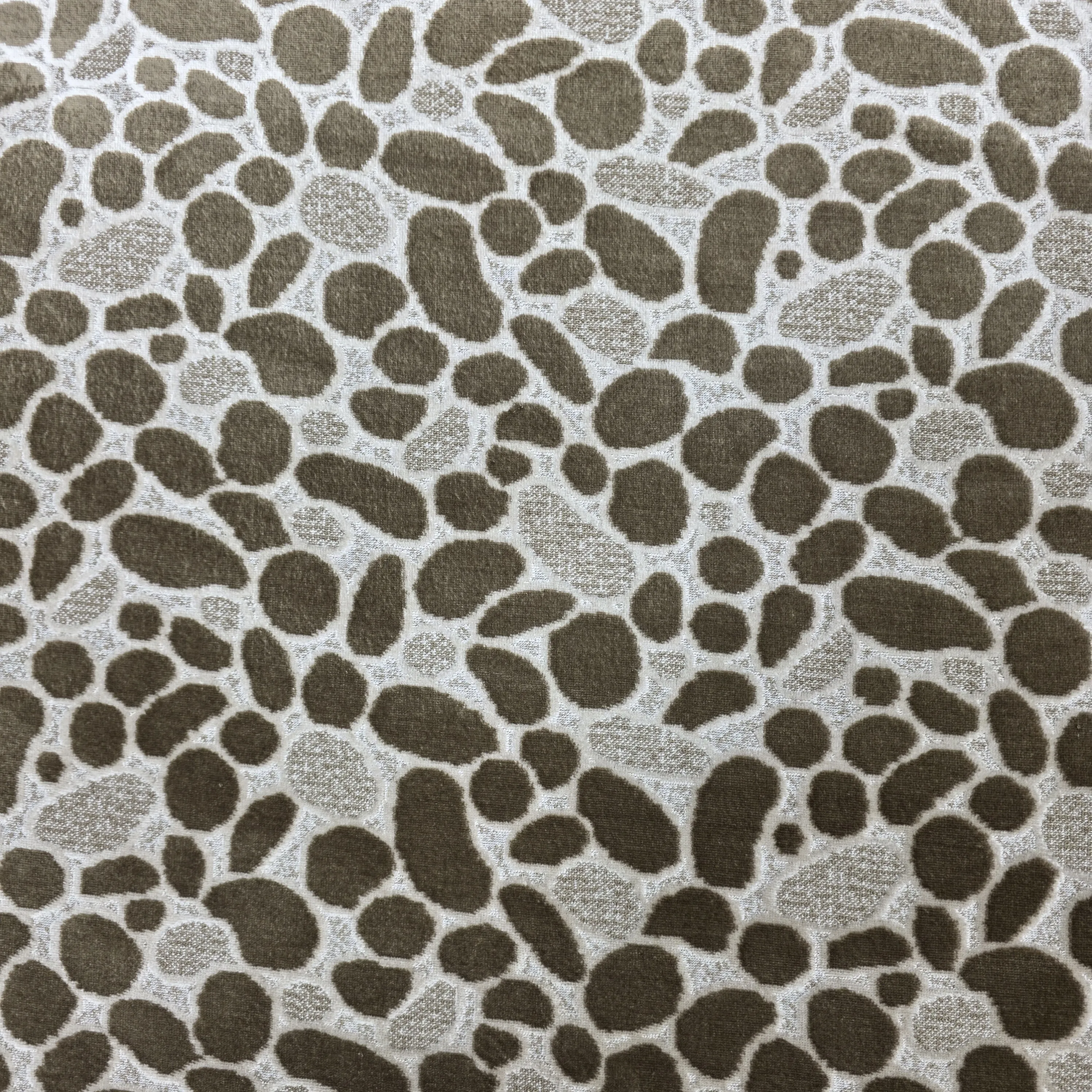 ٢٠٢٥١١٢٧_١٧٣١٢٦_1