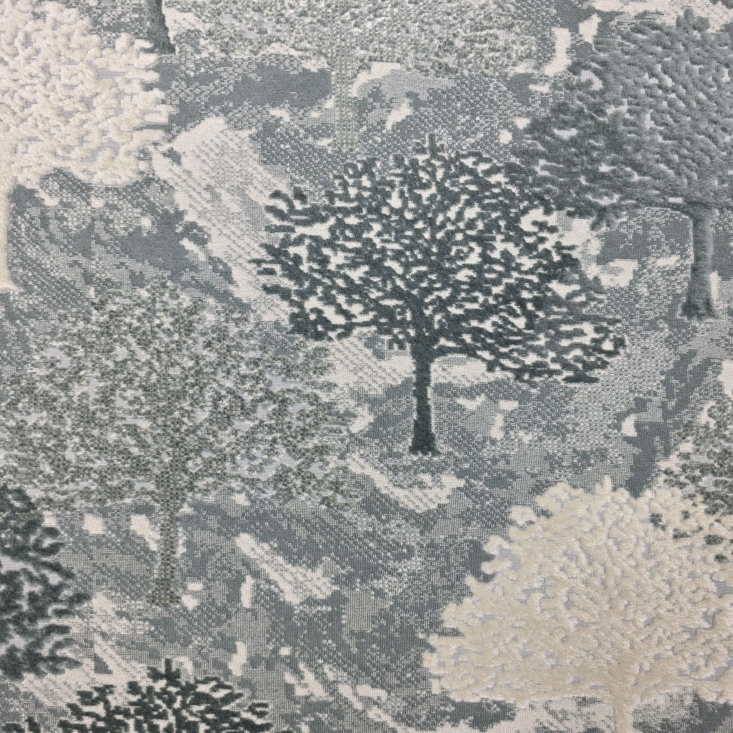 ٢٠٢٥١١٢٧_١٧٣٢٣٩_1