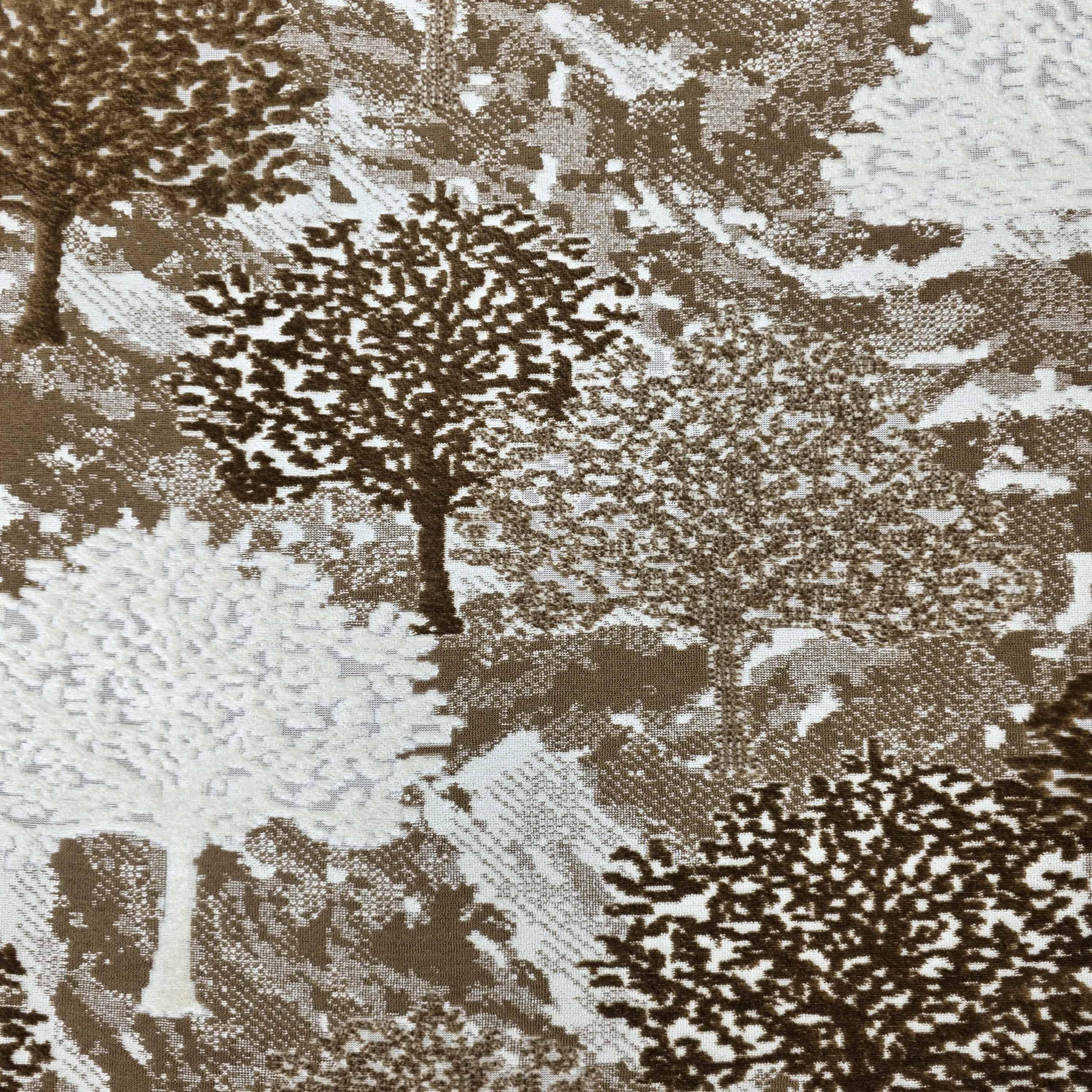 ٢٠٢٥١١٢٧_١٧٥١٤٢_1