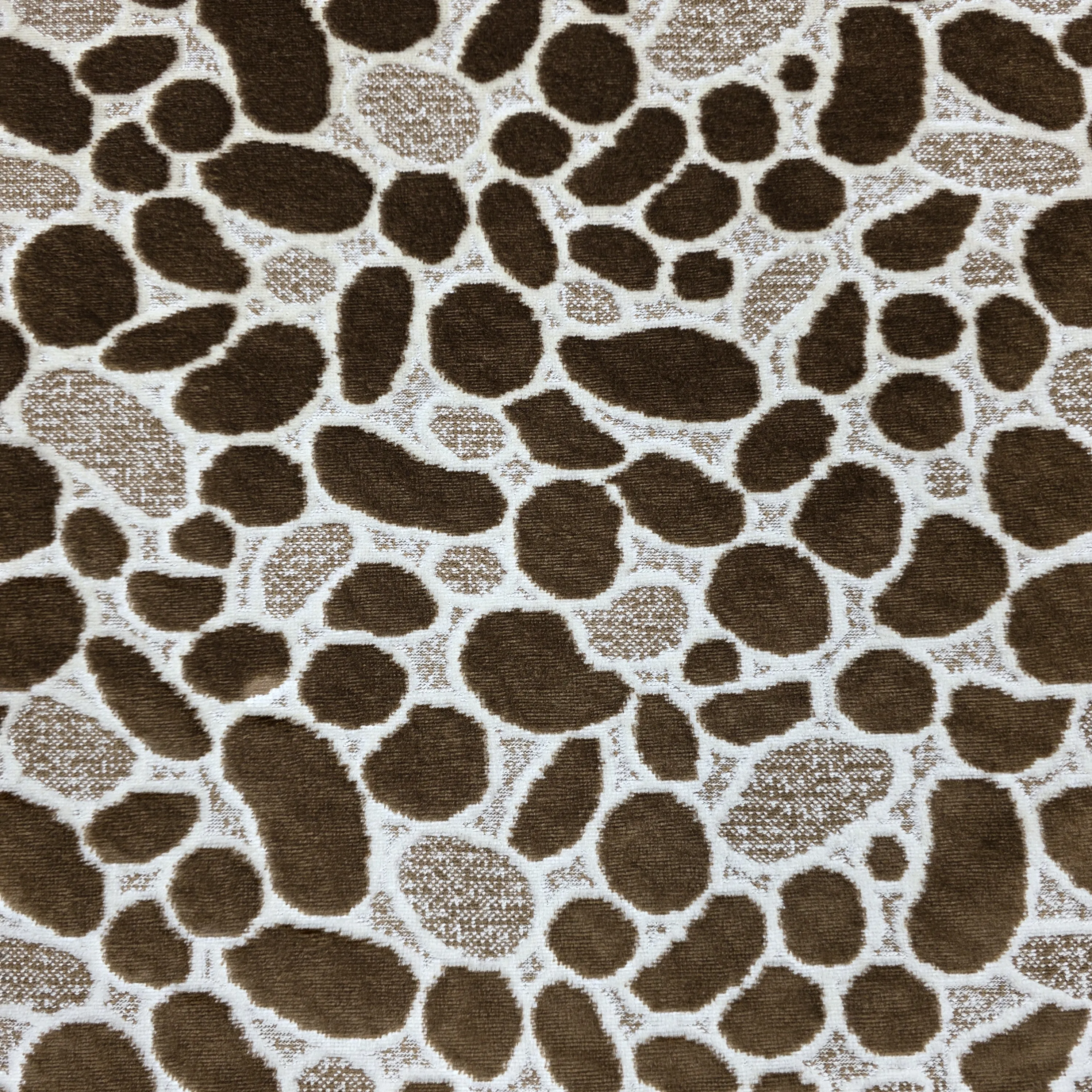 ٢٠٢٥١١٢٧_١٧٥٠١٠